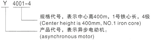 西安泰富西玛Y系列(H355-1000)高压YJTGKK4504-8三相异步电机型号说明